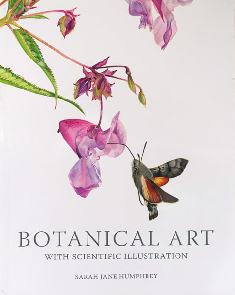 Review Botanical Art With Scientific Illustration By Sarah Jane Humphrey Botanical Art And Artists